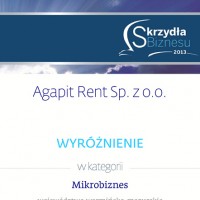 Skrzydła biznesu 2013