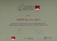 Gazele Biznesu 2017