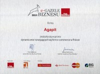 e-Gazele Biznesu 2015