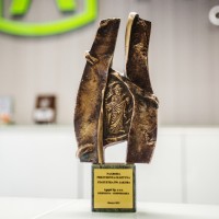 Nagroda Prezydenta Olsztyna – Statuetka św. Jakuba