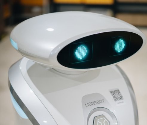 Lionsbot