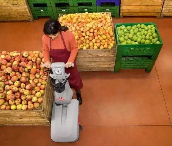 MASZYNA CZYSZCZĄCA COMAC VISPA 35 BS