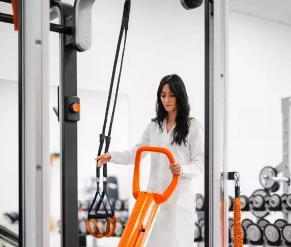 SZOROWARKA PIONOWA TSM  WILLMOP 50