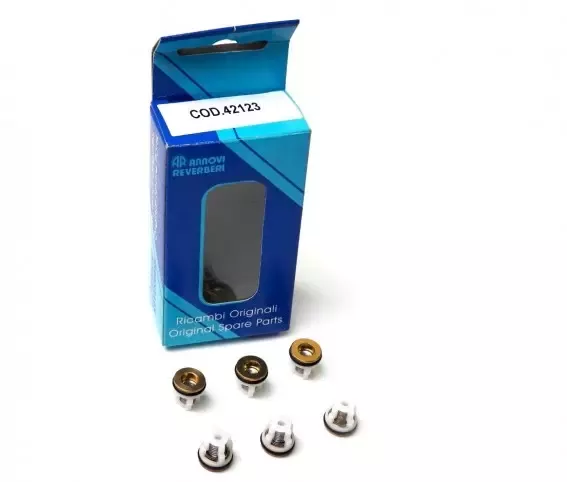 ZESATW ZAWORKÓW KIT NAPRAWCZY RMV 2,5 G 30