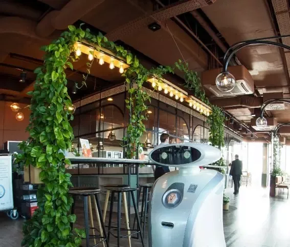 ROBOT SZORUJĄCY LEOSCRUB