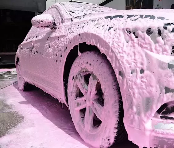 SEPTA PINK FOAM B7 20L