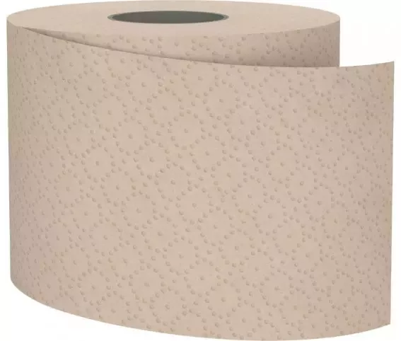 066550 SATINO PURE SOFT PAPIER TOALETOWY MAŁA ROLKA 2 WAR. DŁ. 44 M 48 ROLEK