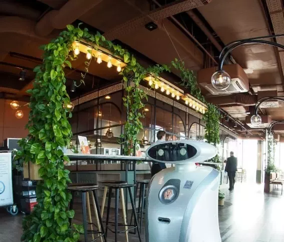 ROBOT SZORUJĄCY LEOSCRUB